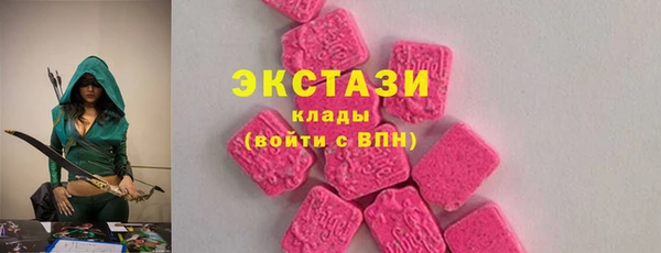 мдпв Богородск