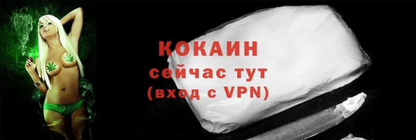 первитин Богородицк