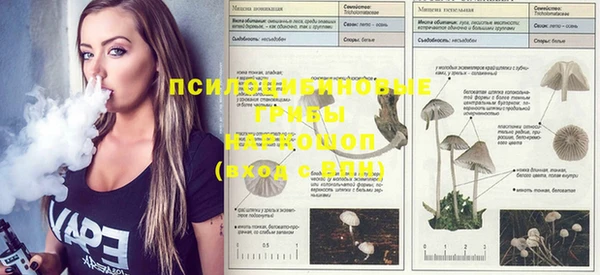 первитин Богородицк